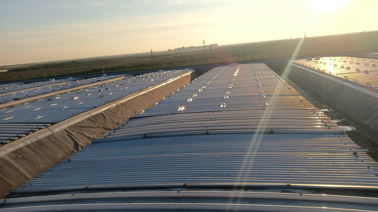Impianto fotovoltaico aziendale a Trinitapoli da 382 kWp per autoconsumo